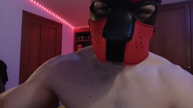 Frabroker handsome Webcam SHOW @ Cam4 25-03-2025