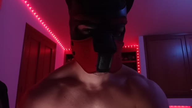Frabroker bigass Webcam SHOW @ Cam4 25-03-2025