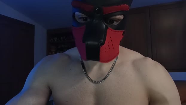 Frabroker hard Webcam SHOW @ Cam4 03-04-2025