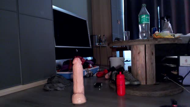 daan1009nl Recorded Webcam SHOW @ Cam4 04-04-2025