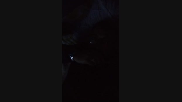 KINTAR sexykitty Webcam SHOW @ Cam4 06-04-2025