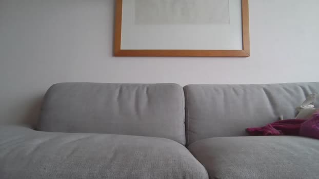 diegodiazchi
