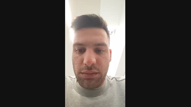 italian_bull1