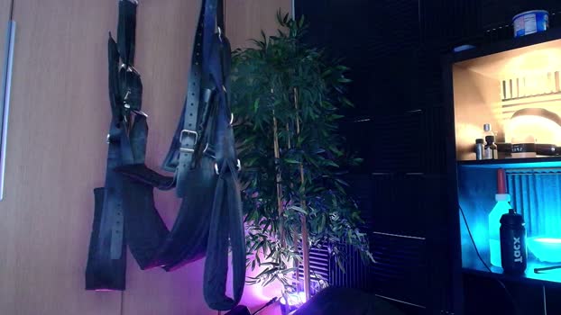 Sxxthiago fingering Webcam SHOW @ Cam4 11-04-2025