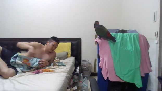 conme44 bigdick Webcam SHOW @ Cam4 12-04-2025