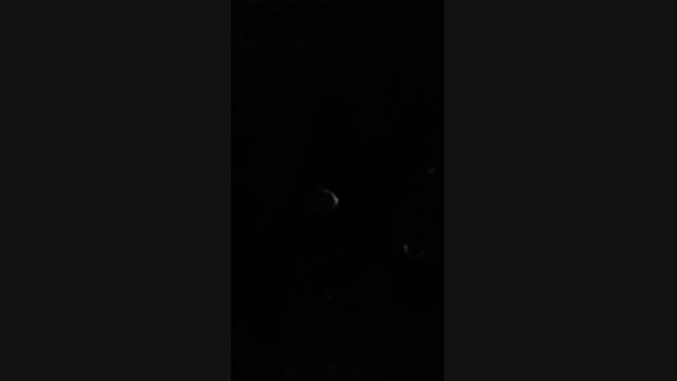 pollen_07 ass Webcam SHOW @ Cam4 18-04-2025