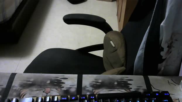 rainbear_ ass Webcam SHOW @ Cam4 19-04-2025