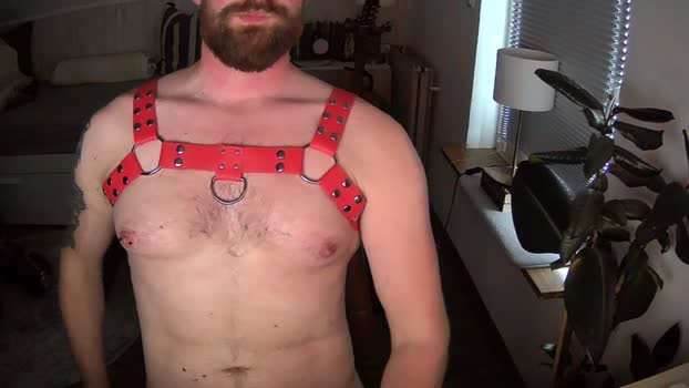 redbearded kink Webcam SHOW @ Cam4 24-04-2025