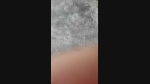 Celocam sex Webcam SHOW @ Cam4 29-04-2025