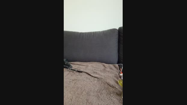 SexySayajin nude Webcam SHOW @ Cam4 30-04-2025