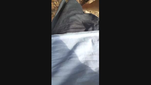 Gatonota lush Webcam SHOW @ Cam4 01-05-2025