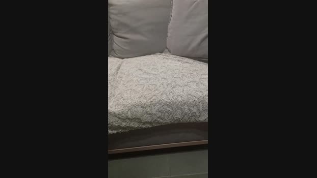 coco4225 bigdick Webcam SHOW @ Cam4 02-05-2025