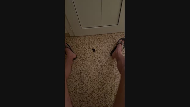 Manu97k analsex Webcam SHOW @ Cam4 02-05-2025