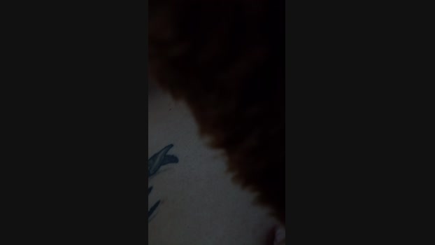 Josueb2025 beauty Webcam SHOW @ Cam4 05-05-2025