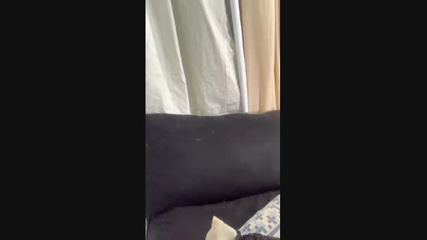 Mariokurt blowjob Webcam SHOW @ Cam4 05-05-2025