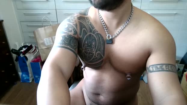 ink_pierced Webcam Webcam SHOW @ Cam4 08-05-2025