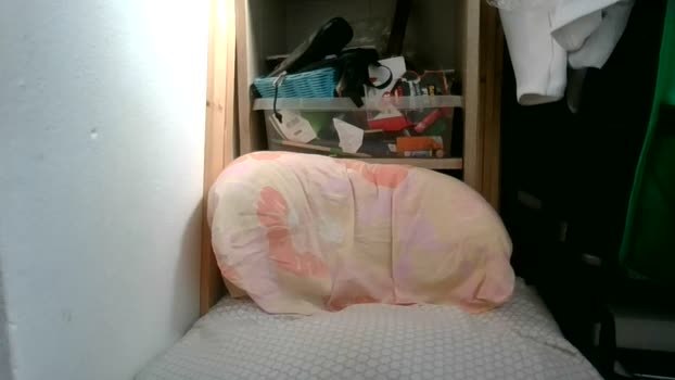Juju78juju fuckface Webcam SHOW @ Cam4 10-05-2025