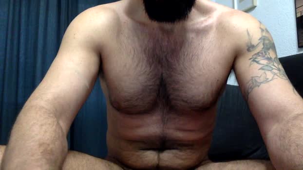 blackbeardpig toy Webcam SHOW @ Cam4 11-05-2025