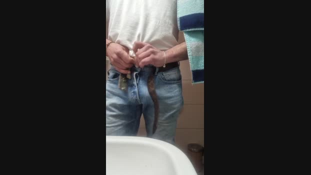 Doperman analtoy Webcam SHOW @ Cam4 13-05-2025