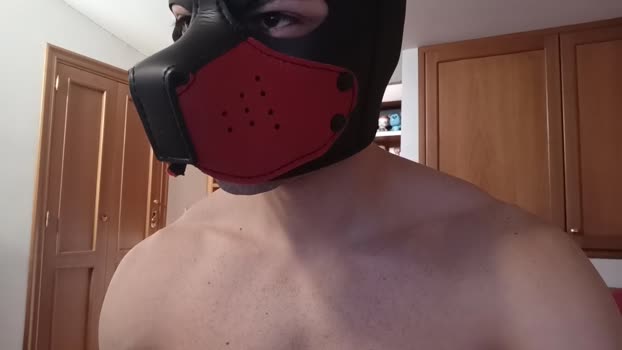 Frabroker toy Webcam SHOW @ Cam4 12-05-2025