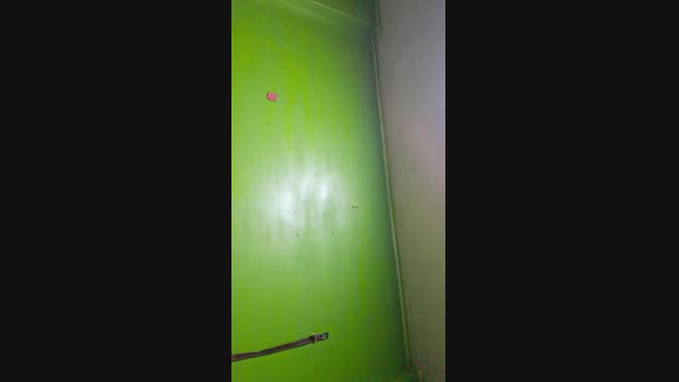 Lobogym39 beautiful Webcam SHOW @ Cam4 12-05-2025