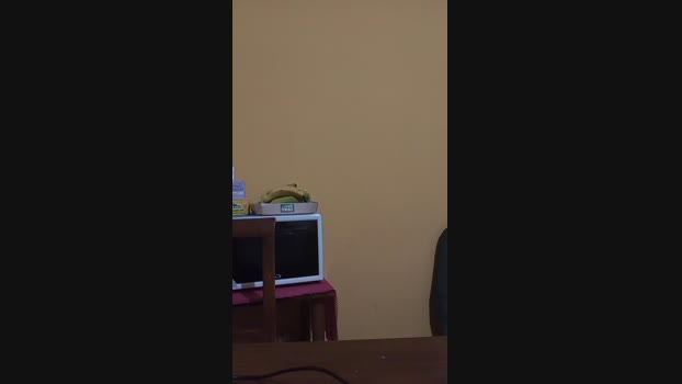LolloEBibbi analsex Webcam SHOW @ Cam4 16-05-2025