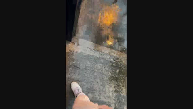 Papionfire Ass Webcam SHOW @ Cam4 17-05-2025