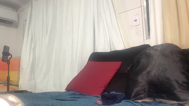 Mariokurt sexymale Webcam SHOW @ Cam4 19-05-2025
