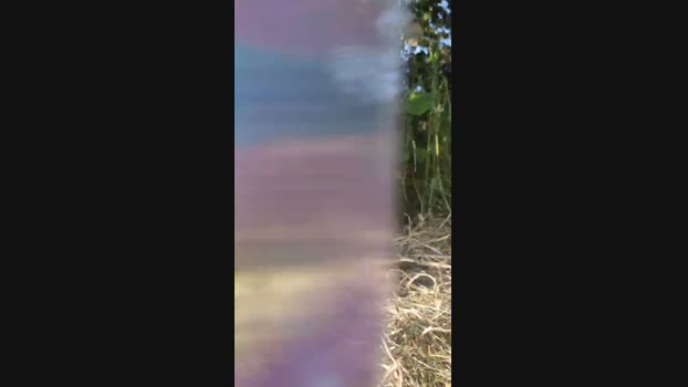 Aazbbz20 bigdick Webcam SHOW @ Cam4 19-05-2025