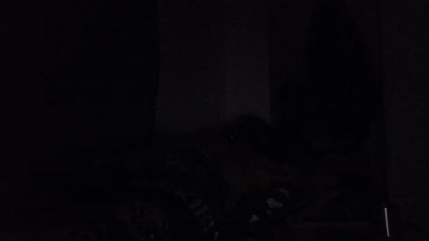 Beardedveteran sweet Webcam SHOW @ Cam4 22-05-2025