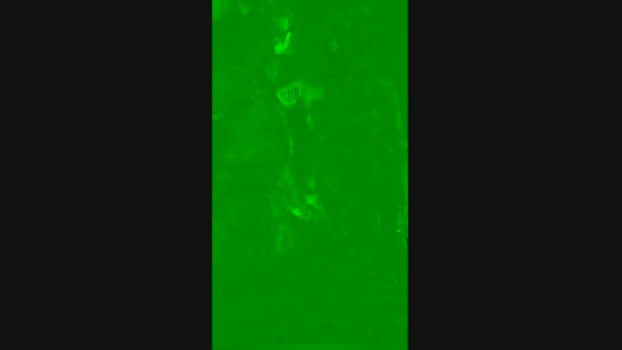 MONSTER777DADDY sexykitty Webcam SHOW @ Cam4 24-05-2025