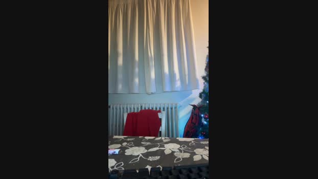 Marcone99 Recorded Webcam SHOW @ Cam4 24-05-2025