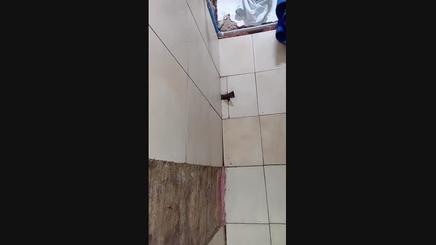 alfonzo41 cute Webcam SHOW @ Cam4 24-05-2025