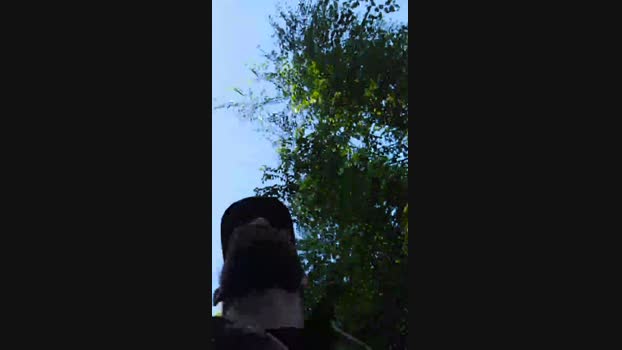 Beardedveteran fuckass Webcam SHOW @ Cam4 25-05-2025
