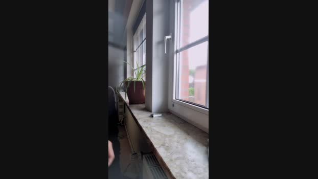 hotboy7005 sexykitty Webcam SHOW @ Cam4 28-05-2025
