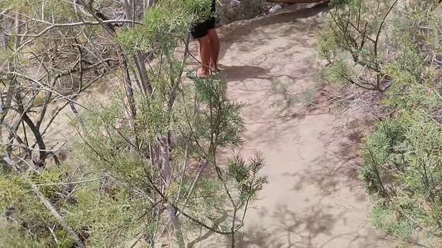 Pabloysebas Show Webcam SHOW @ Cam4 01-06-2025