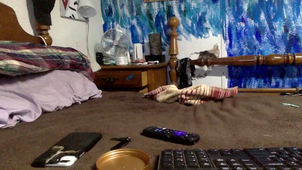 mrkoter harddick Webcam SHOW @ Cam4 01-06-2025