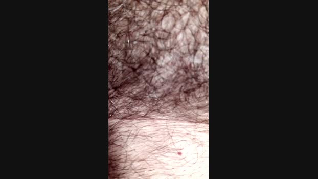 martino281 suckshow Webcam SHOW @ Cam4 02-06-2025