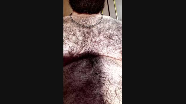 martino281 handsome Webcam SHOW @ Cam4 02-06-2025