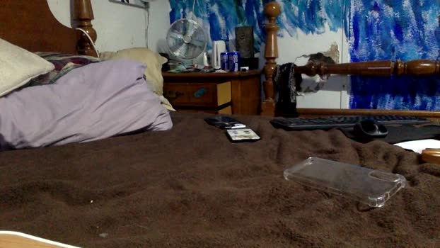 mrkoter toys Webcam SHOW @ Cam4 02-06-2025