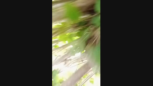ragazzoporco83 bigdick Webcam SHOW @ Cam4 02-06-2025