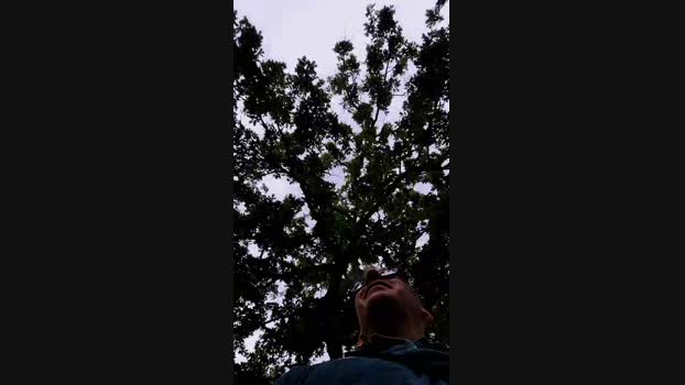 HuGo4K bj-dildo Webcam SHOW @ Cam4 02-06-2025