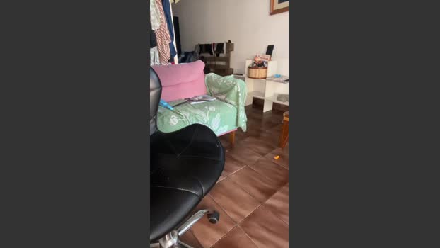 gerson229 jackoff Webcam SHOW @ Cam4 04-06-2025