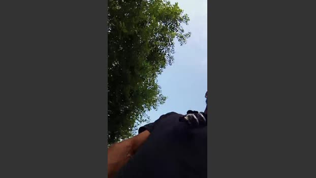 Hugo1387l bj-dildo Webcam SHOW @ Cam4 06-06-2025