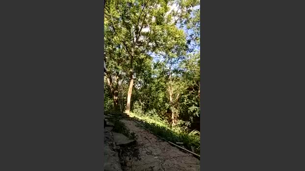 Richard_2 naked Webcam SHOW @ Cam4 07-06-2025