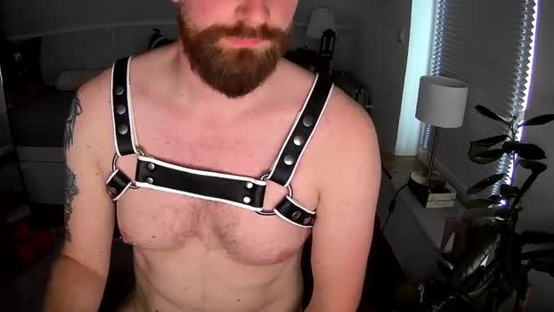 redbearded legs Webcam SHOW @ Cam4 07-06-2025