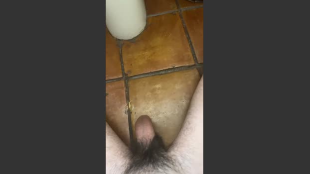 Alrx2238 strip Webcam SHOW @ Cam4 10-06-2025