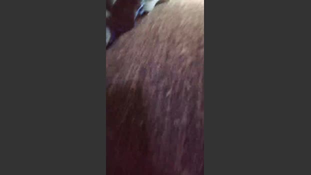 roncoratonm2 suckshow Webcam SHOW @ Cam4 11-06-2025