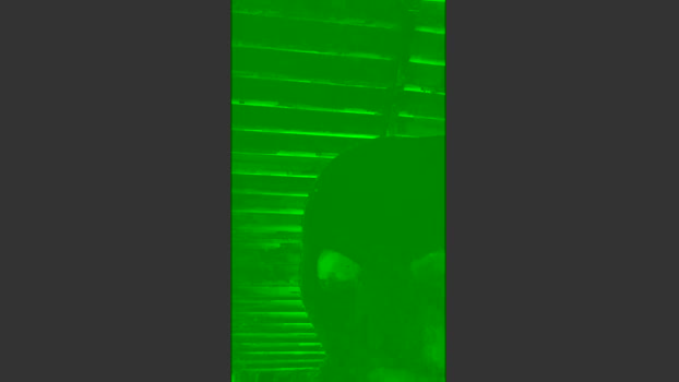 Novinrec81 kink Webcam SHOW @ Cam4 12-06-2025