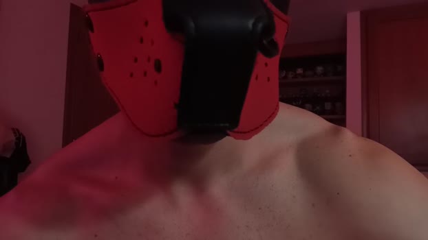 Frabroker hard Webcam SHOW @ Cam4 23-06-2025